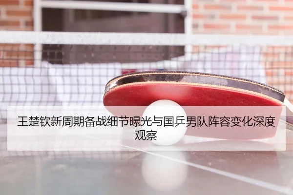 王楚钦新周期备战细节曝光与国乒男队阵容变化深度观察 - leyu
